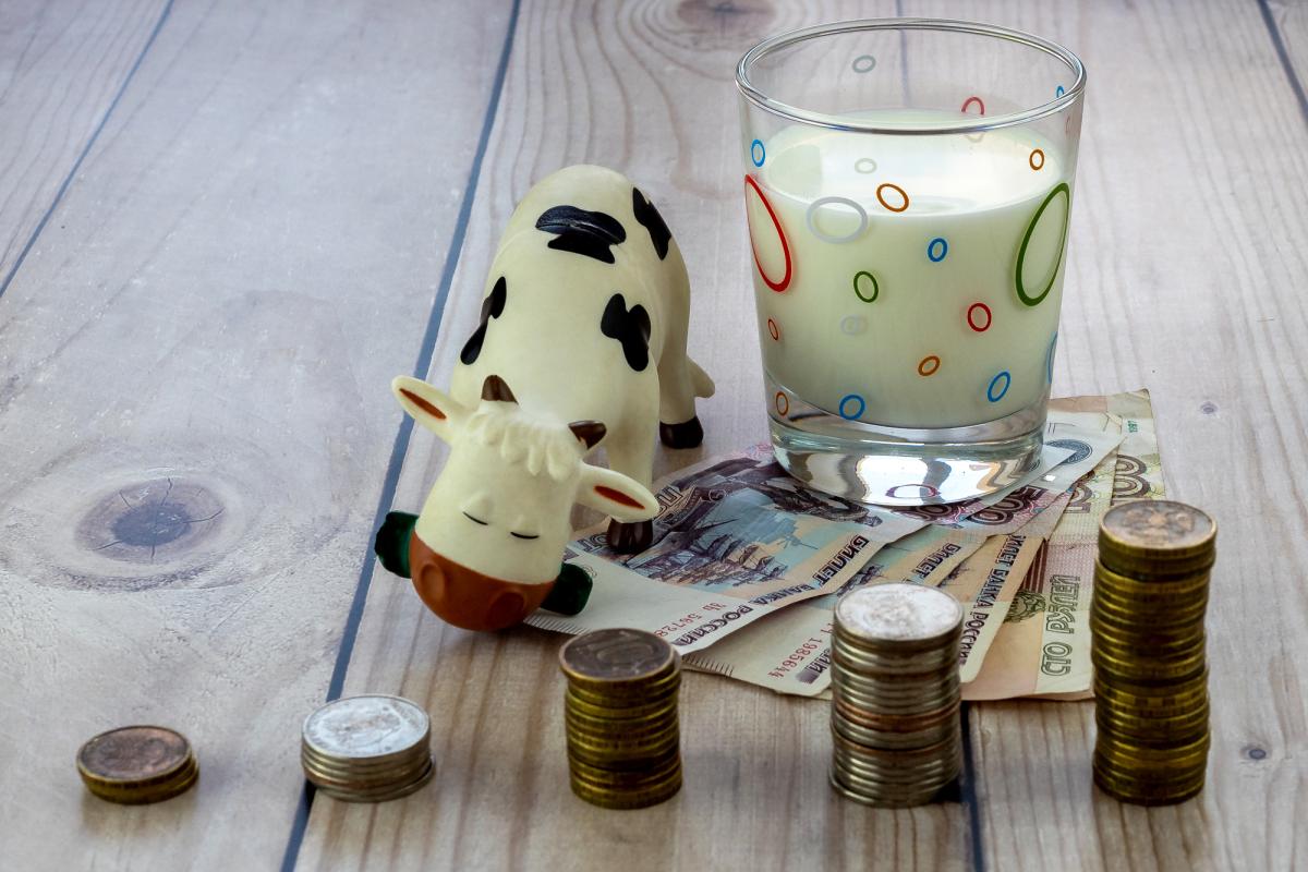 AGRARIANS OF INGUSHETIA GET 506 MILLION RUBLES FOR THE DEVELOPMENT OF THE SECTOR IN 2025 