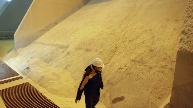 RUSSIA SETS A RECORD IN SOYBEAN FLOUR EXPORTS