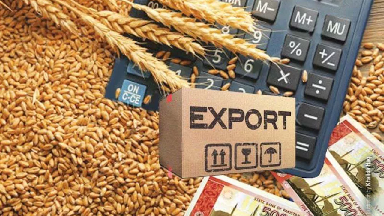 EXPORT DUTIES FOR WHEAT, CORN, AND BARLEY TO BE ZERO FROM 10 DECEMBER 