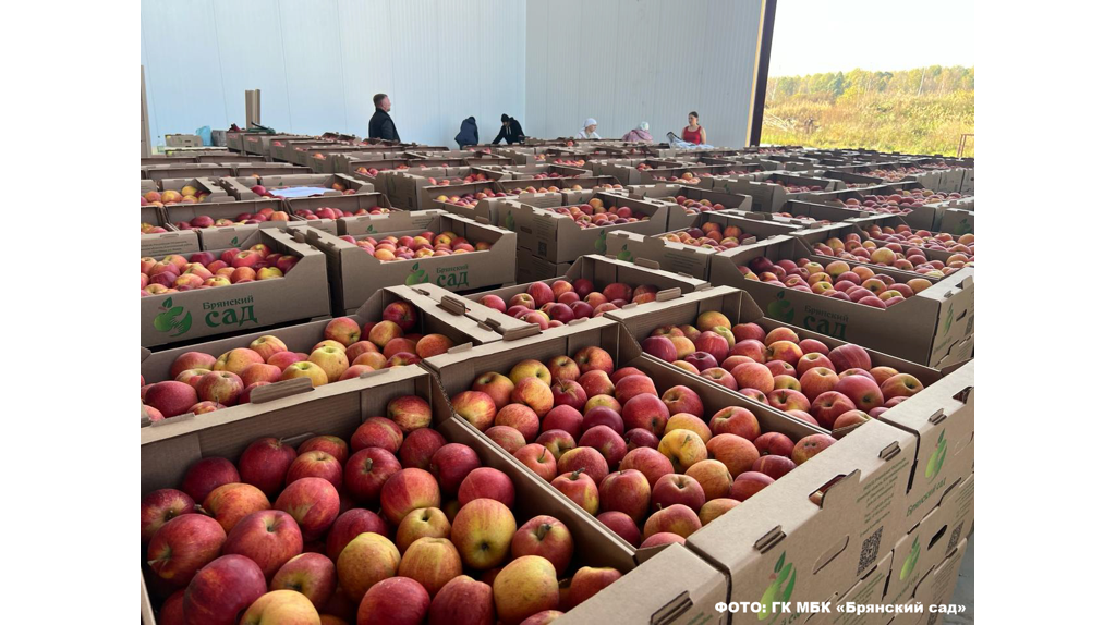 BRYANSKY SAD IS PLANNING TO START APPLE PROCESSING 