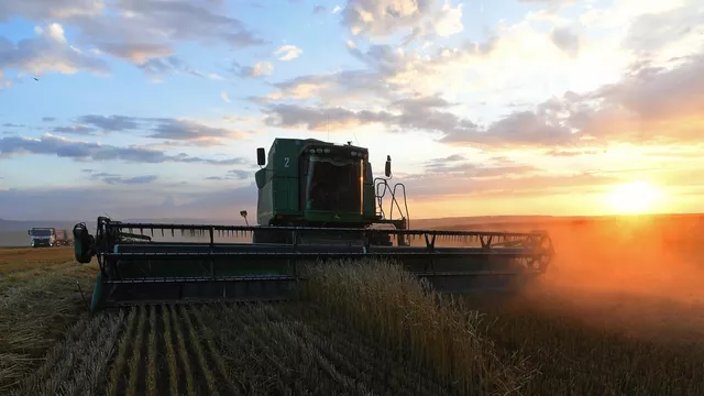 RUSSIAN FEDERAL STATE STATISTICS SERVICE REPORTS THE GROWTH OF WHEAT YIELD IN 2025
