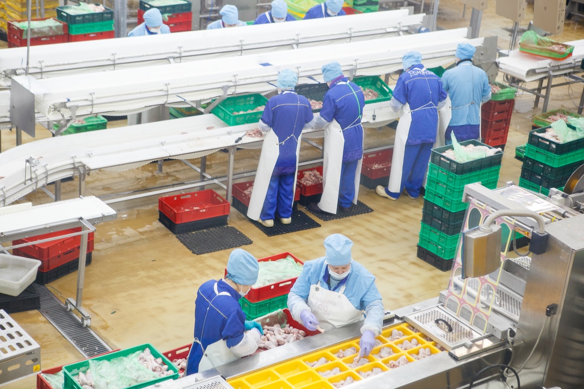 ООО «Челны-Бройлер» увеличивает объемы производства продукции из мяса птицы