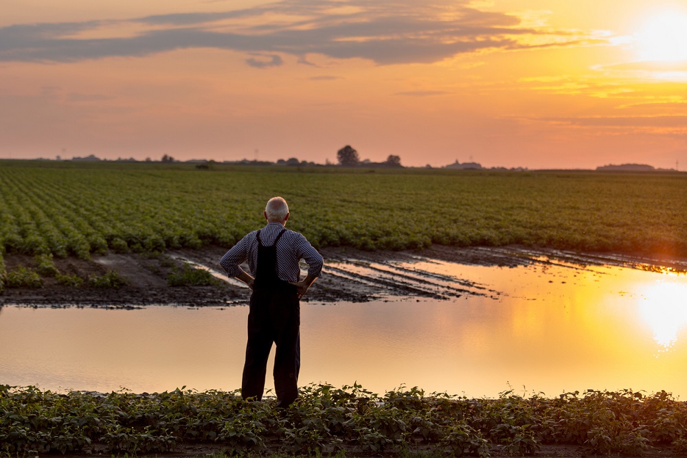 Agricultural Insurance in Russia: Payments Increased by Billion Rubles 