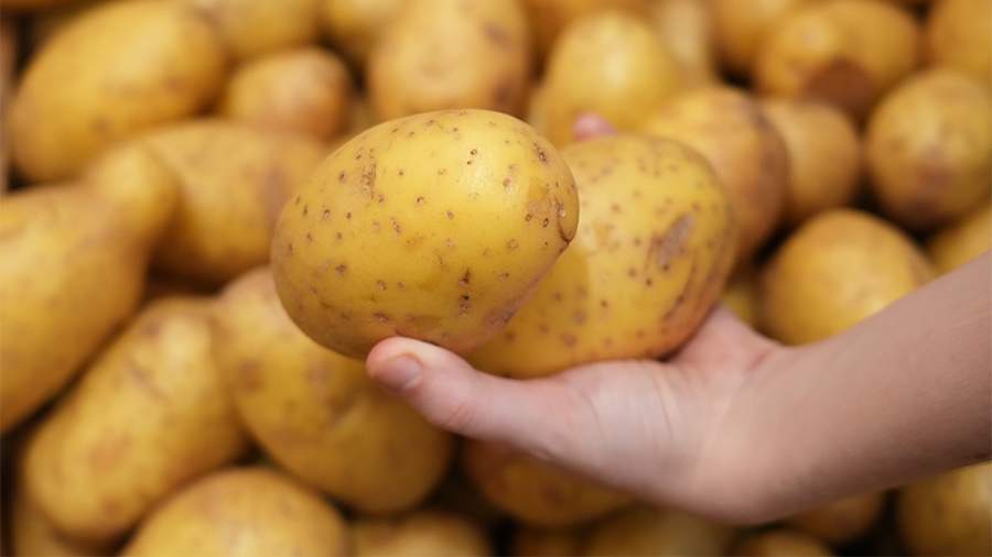 RUSSIA TURNS OUT TO BE NUMBER FIVE IN THE GLOBAL POTATO PRODUCTION VOLUME 