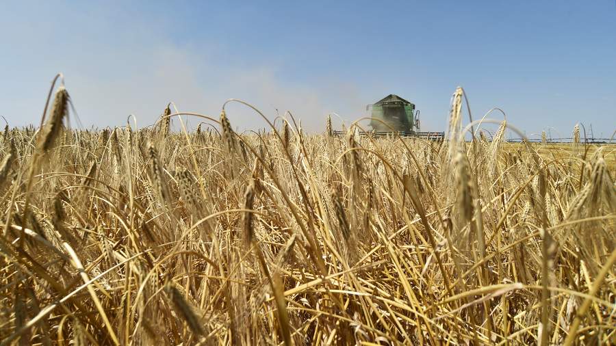 THE PROSPECTS OF MALTING BARLEY DISCLOSED  