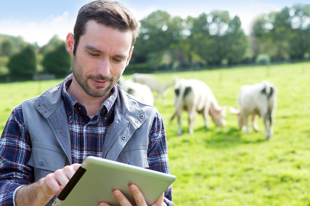 ARTIFICIAL INTELLIGENCE BRINGS PROFIT TO AGRARIANS