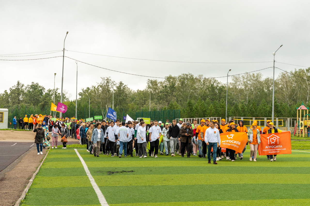 АГРОСИЛЬНОЕ ЛЕТО-2024