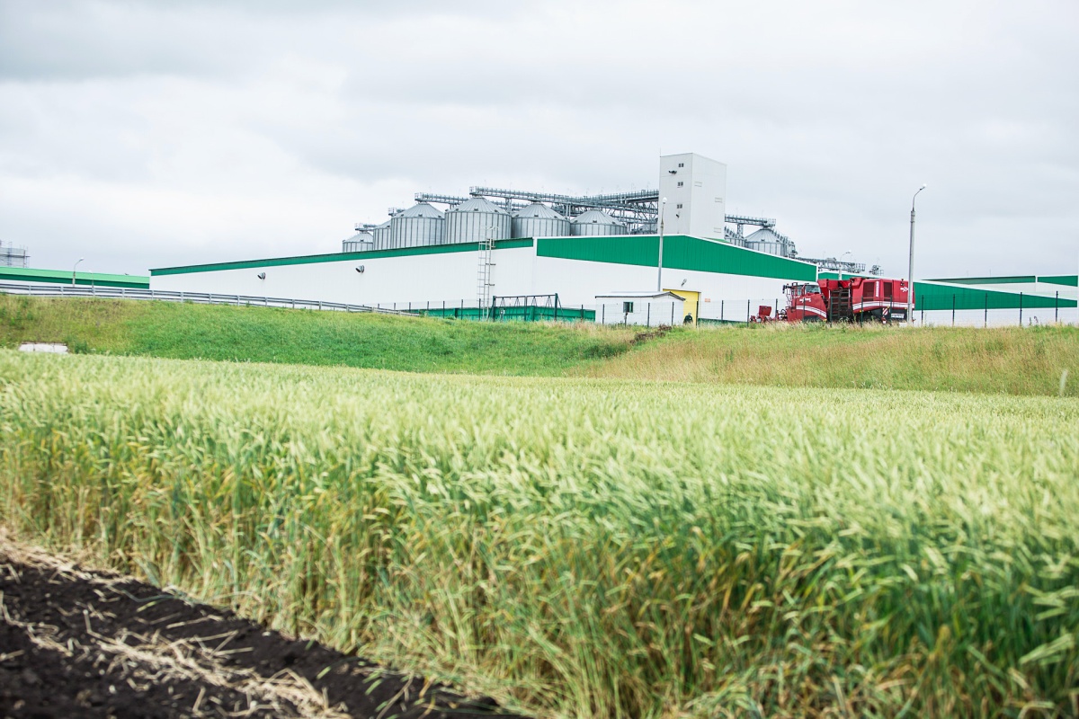 Холдинг «АГРОСИЛА» в 2017 году войдет в число крупнейших производителей сельскохозяйственной продукции в России