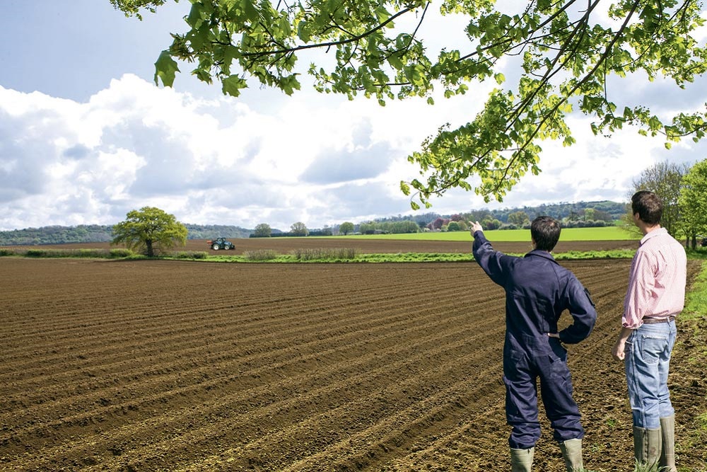 GOVERNMENT TO COMPENSATE FOR UP TO 50% OF EXPENSES FOR SCIENTIFIC AND ENGINEERING PROJECTS IN AGRO-INDUSTRIAL COMPLEX