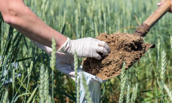 RUSSIA PLANS TO DEVELOP A METHODOLOGY FOR ASSESSING THE DAMAGE TO LAND CAUSED BY PPJ