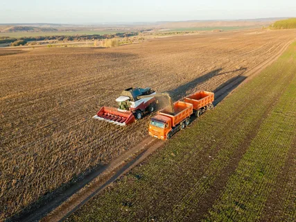 В холдинге «АГРОСИЛА» активно продолжается уборка технических культур