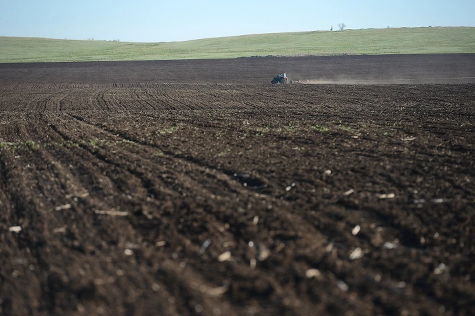 PLOUGHING CHAMPIONSHIP TO TAKE PLACE IN STAVROPOL TERRITORY IN 2026 