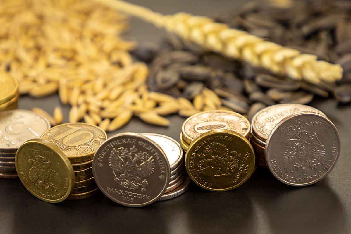 ALTAI AGRARIANS RECEIVE 2.5 BILLION RUBLES FROM THE FEDERAL BUDGET