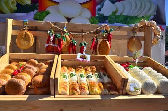 Since the beginning of the year, more than 21 tons of cheese have been produced in Sochi.