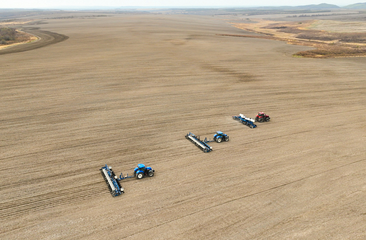 Новую сельхозкультуру посеют в Приморье 