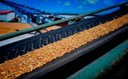 Россия представила странам БРИКС предложение по созданию зерновой биржи
