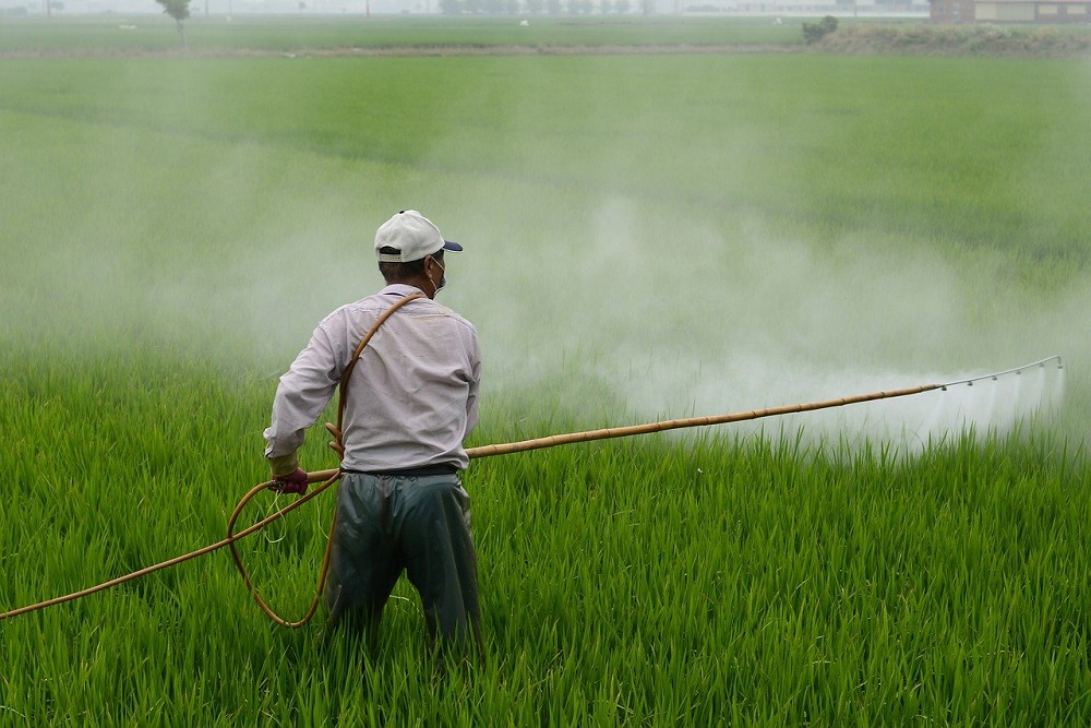 CONFIRMATION OF FUMIGATION LICENSE TO BECOME MANDATORY 