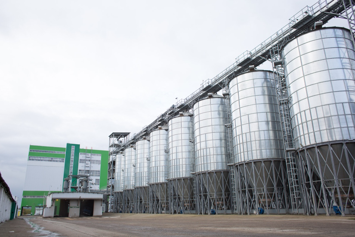 На Набережночелнинском элеваторе заложено на хранение 37,3 тысячи тонн зерна нового урожая