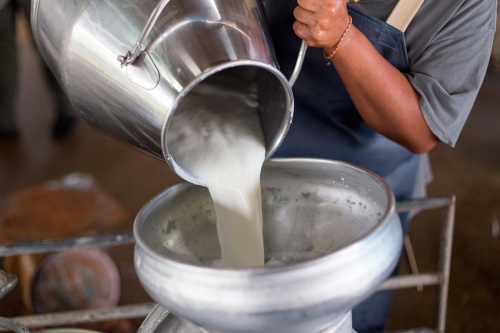 Татарстан увеличил производство товарного молока 