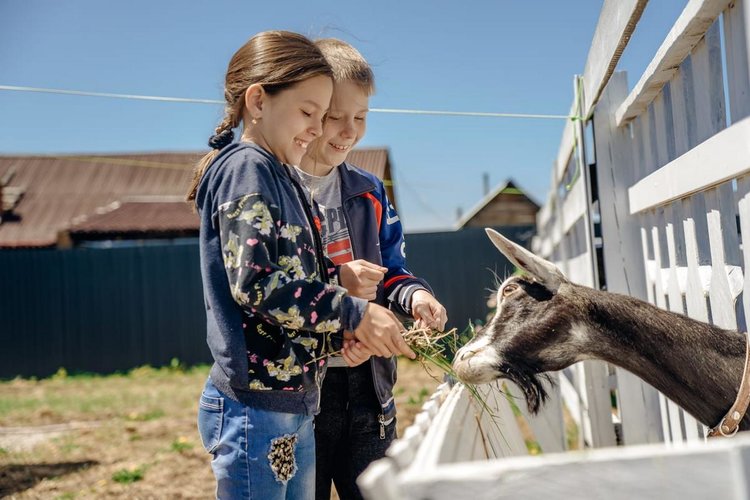 Иркутские проекты вошли в маршрут сельского туризма 