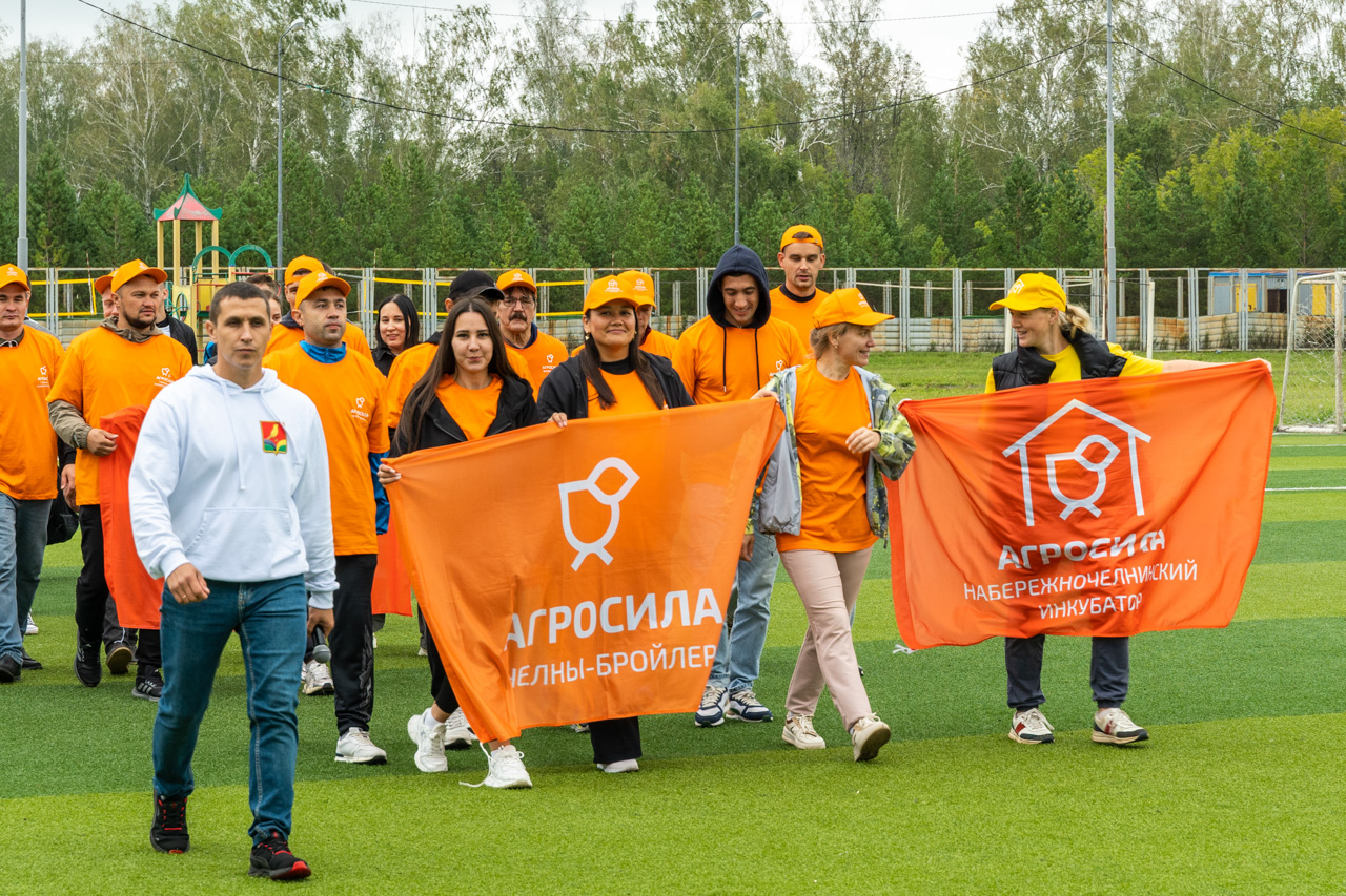 АГРОСИЛЬНОЕ ЛЕТО-2024