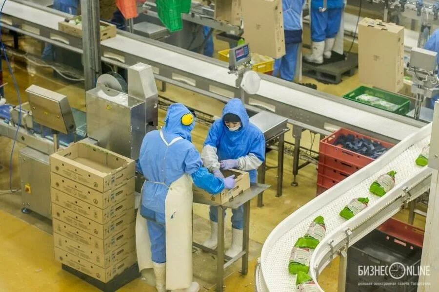 Производственные мощности «Челны-Бройлер» вырастут на 50% 