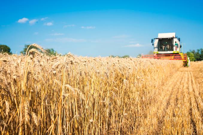WINTER SOWING IN THE ORENBURG REGION FOR THE 2027 HARVEST IS GAINING MOMENTUM