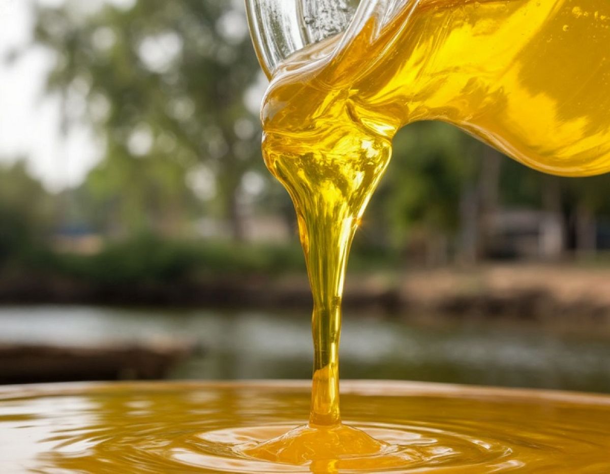 Россия увеличила экспорт соевого масла в страны MENA на 11% в 2025 году