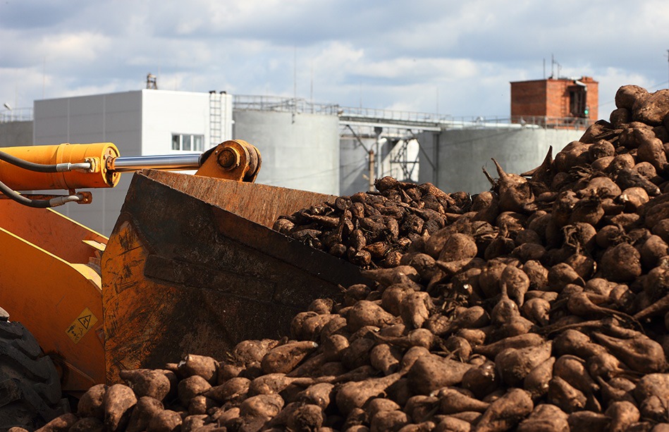 Татарстан впервые собрал более 2,3 миллиона тонн сахарной свеклы
