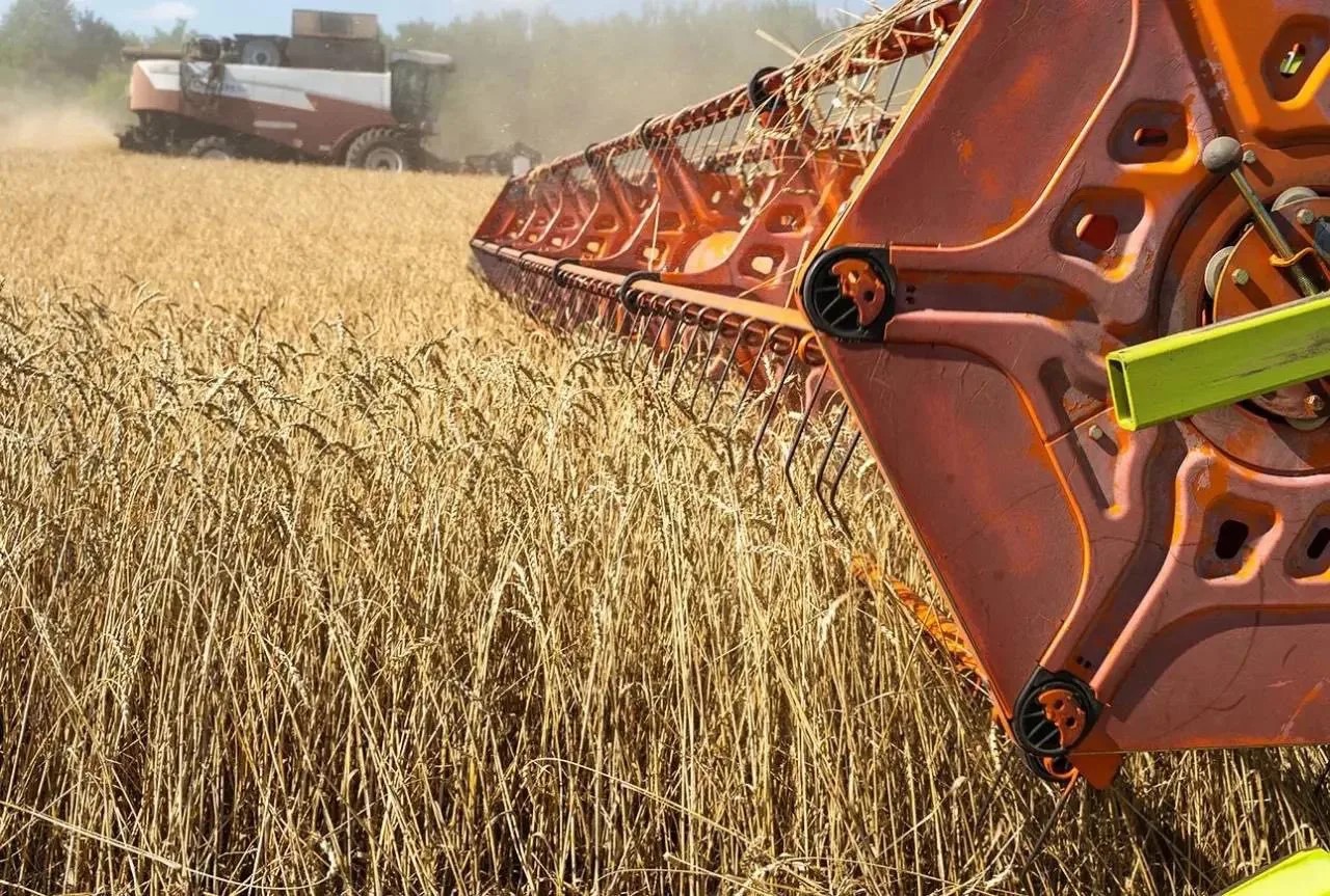 The AGROSILA holding has completed the grain harvest campaign.
