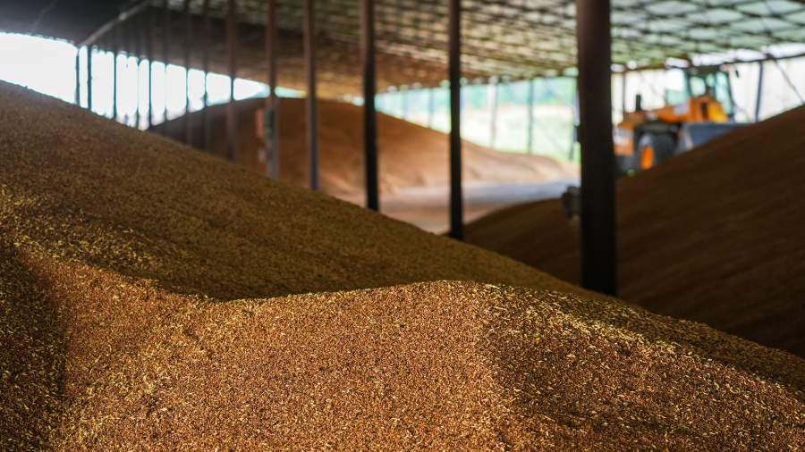 WHEAT IN HAND: RUSSIA BECOMES A KEY GRAIN SUPPLIER FOR SUDAN 