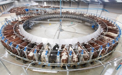 MARKETABLE MILK PRODUCTION INCREASED BY 5.7%