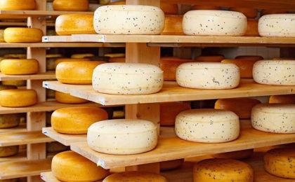 Производство сыров и сырных продуктов выросло на 12,1% - до 231 тыс. тонн