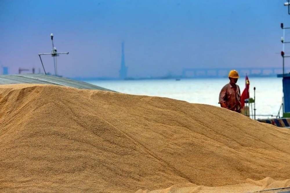 RUSSIAN WHEAT CAPTURES ONE THIRD OF AFRICA’S MARKET  