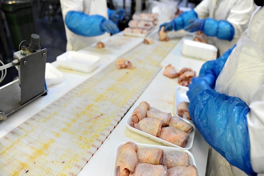 Россия вышла на рекорд по экспорту куриной продукции в Саудовскую Аравию