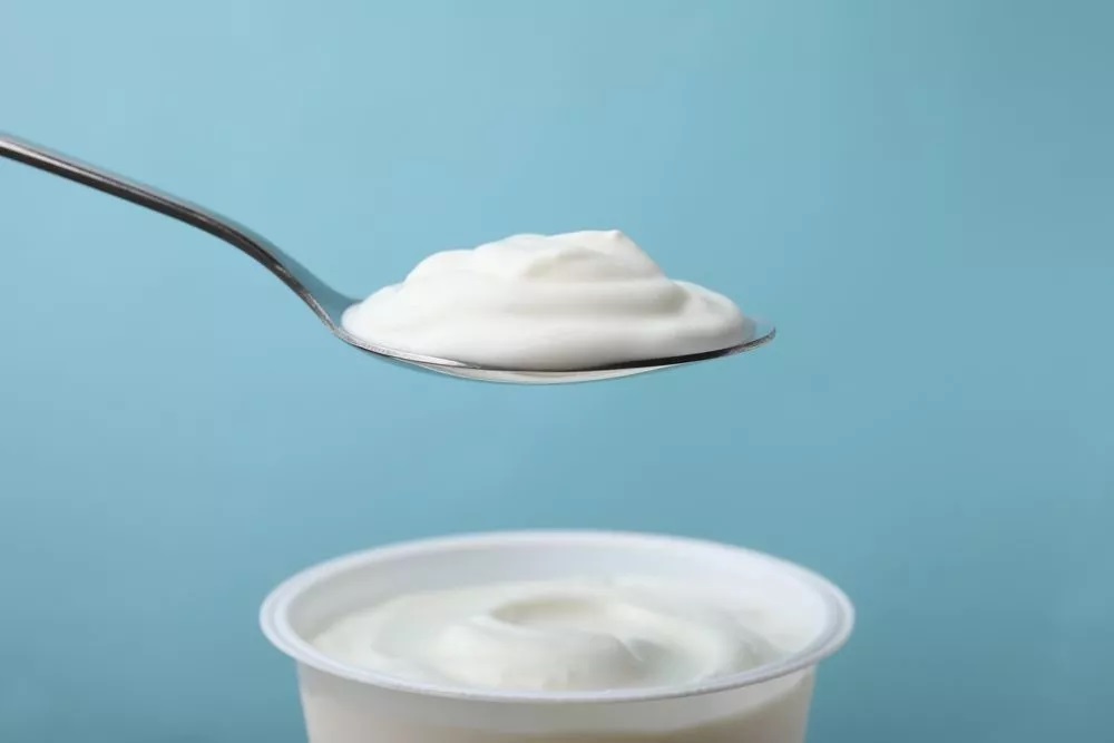 RECORD POPULARITY OF PROTEIN DAIRY PRODUCTS NOTED 