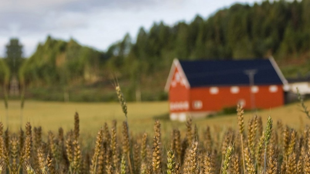 AGROSILA IMPLEMENTING A COMPREHENSIVE PROGRAM OF RURAL DEVELOPMENT 