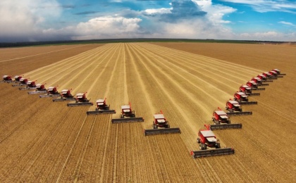 Урожай зерна 2023 года будет вторым по объему в истории России