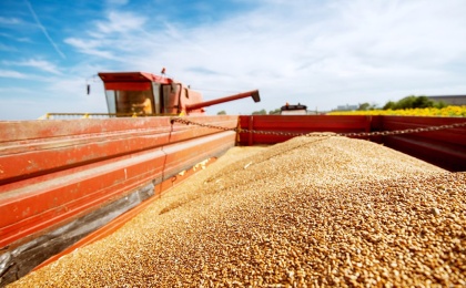 Россия завершила сельхозсезон, экспортировав 73 млн тонн зерна
