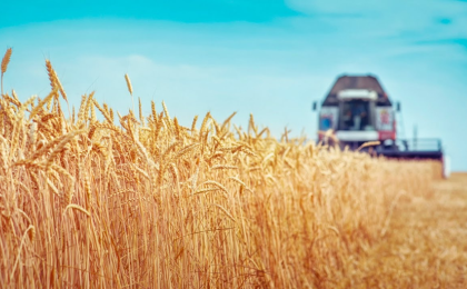 RUSSIA EXPORTS 38.5 MILLION TONS OF GRAIN FROM THE BEGINNING OF THE AGRICULTURAL YEAR 