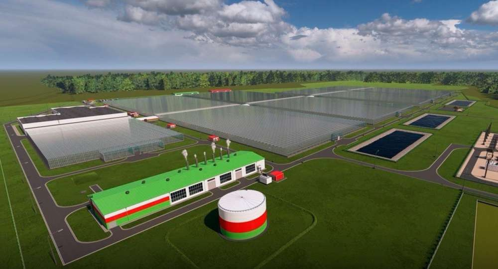 FLOWER GROWING GREENHOUSE COMPLEX OF 25 HA TO BE BUILT NEAR MOSCOW 