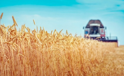 Россия с начала сельхозгода отправила на экспорт 38,5 млн тонн зерна