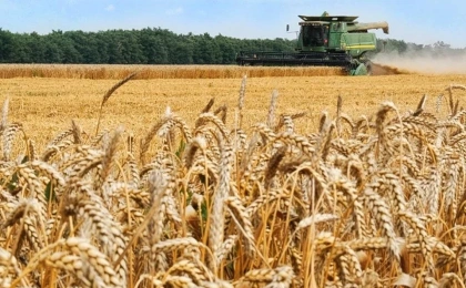 RUSSIAN TAKES FIRST PLACE IN WHEAT AND BARLEY EXPORT