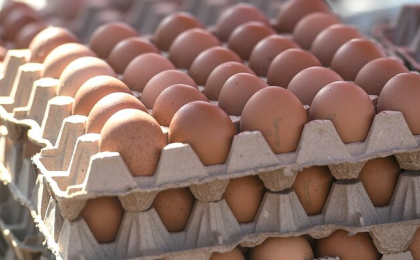 MINISTRY OF AGRICULTURE GOING TO EXPAND REDUCED-RATE LENDING FOR EGG PRODUCERS 