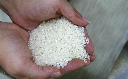Правительство России продлило временное ограничение на вывоз риса и рисовой крупы